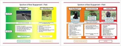 image of bear spectrum