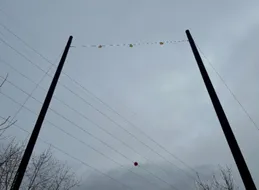Powerlines with wires